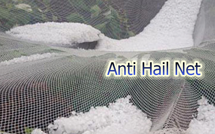 ฟังก์ชั่นของ Anti Hail Net