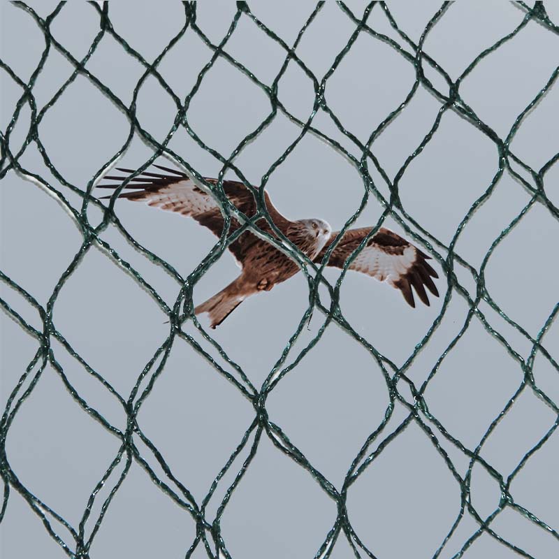 การเลือกใช้วัสดุ ข้อดี และข้อเสียของตาข่ายป้องกันนกมีอะไรบ้าง?