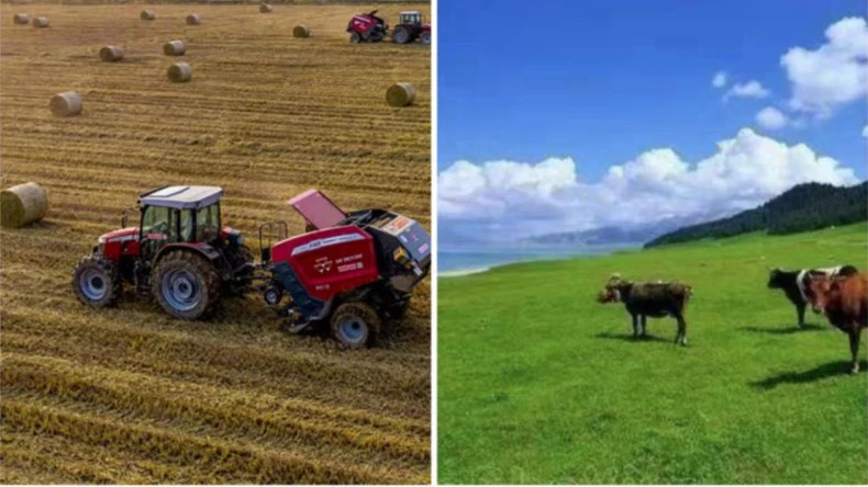 การใช้ตาข่ายพันฟ่อนฟางในกิจกรรมทางการเกษตร