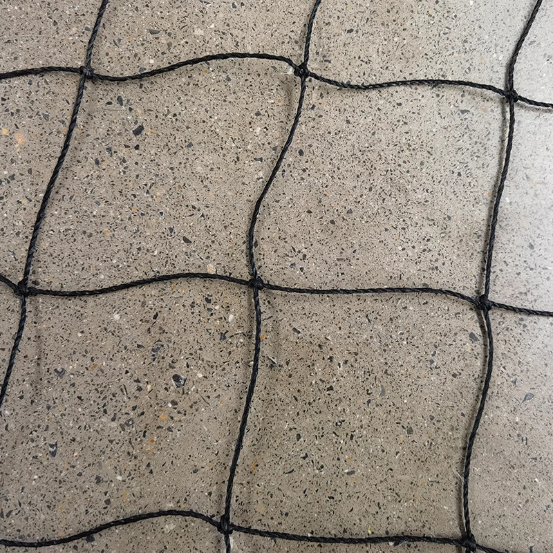 บทบาทของตาข่ายคริกเก็ต