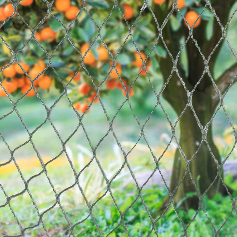 ตาข่ายกั้นสัตว์กันนก