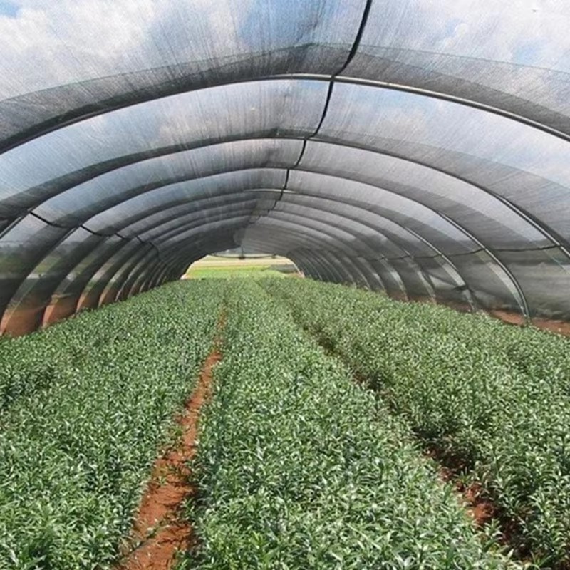 ผ้าบังแดดสำหรับพืช 40% บังแสงแดด