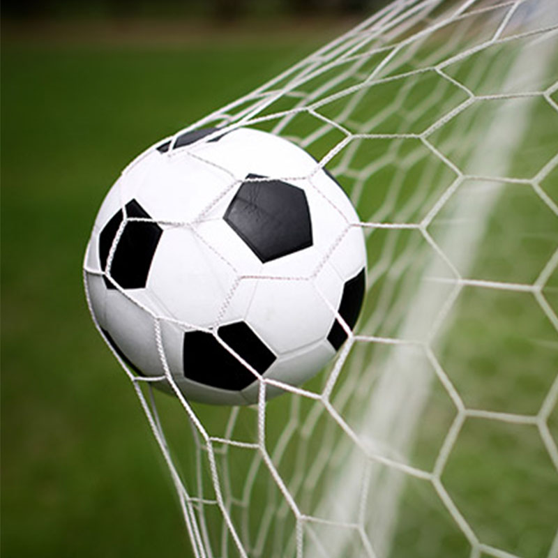 ตาข่ายสนามฟุตบอล